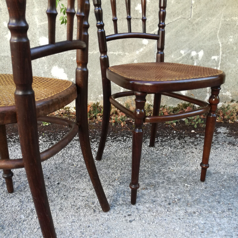 Pair of Vintage Chairs caned by Fischel 1930