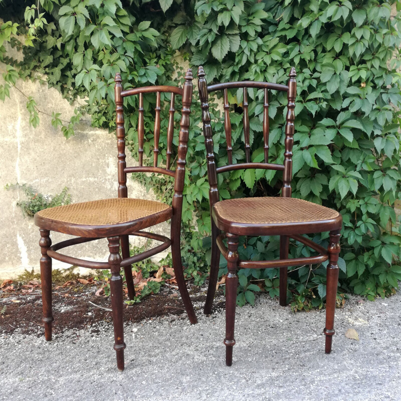 Pair of Vintage Chairs caned by Fischel 1930