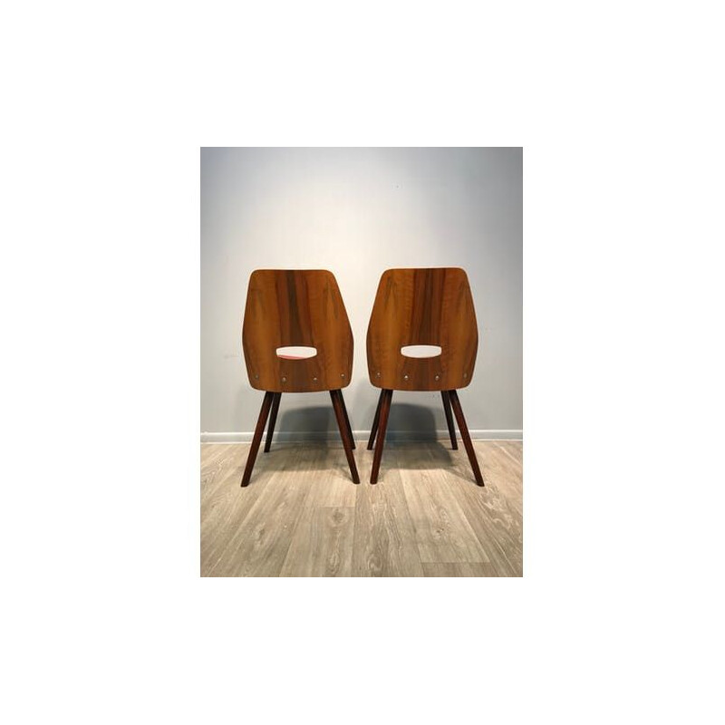 Pair Of vintage Chairs Designed By F. Jirak Tatra Nabytok