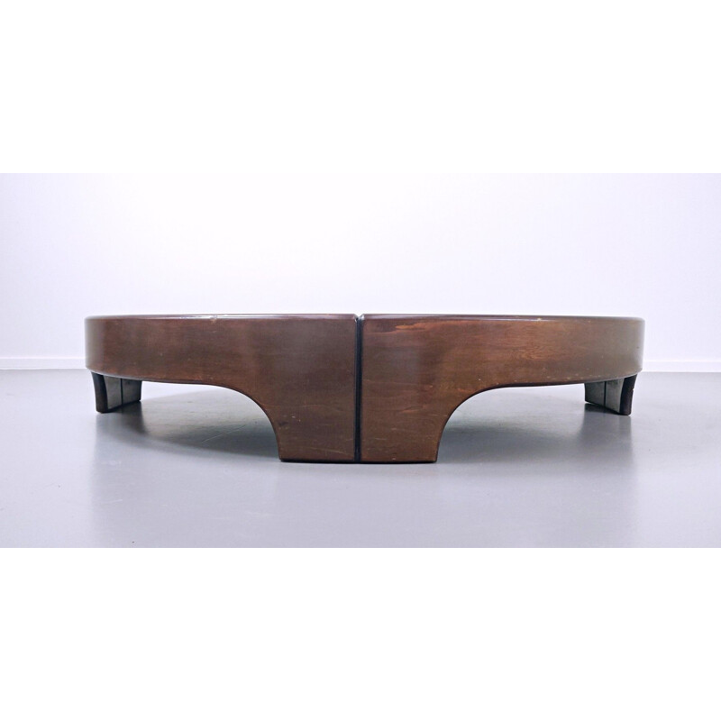 Vintage Coffee Table By Tito Agnoli