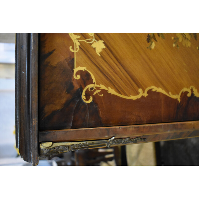 Vintage Wooden TV cabinet covered with floral marquetry