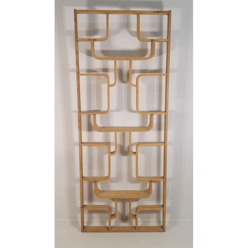 Vintage Room Divider by Ludvik Volak by Drevopodnik Holesov, 1960s