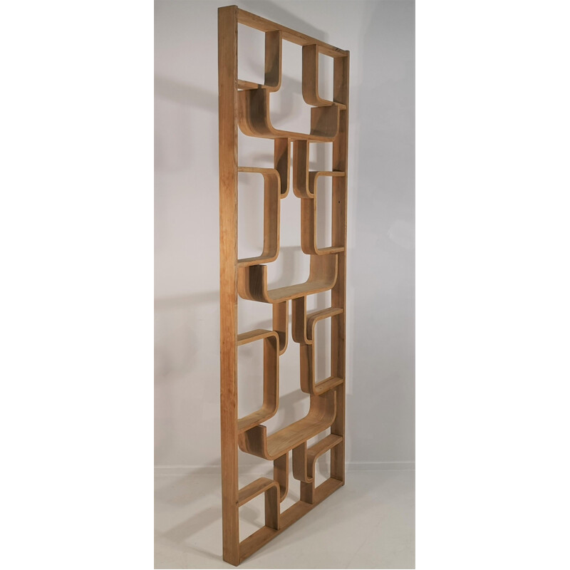 Vintage Room Divider by Ludvik Volak by Drevopodnik Holesov, 1960s