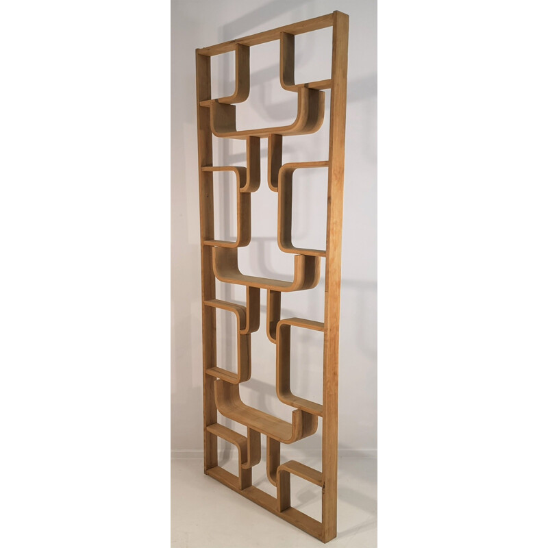 Vintage Room Divider by Ludvik Volak by Drevopodnik Holesov, 1960s