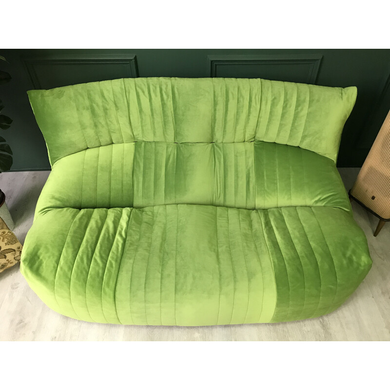 Vintage 2 seater sofa Aralia for Ligne Roset 1982