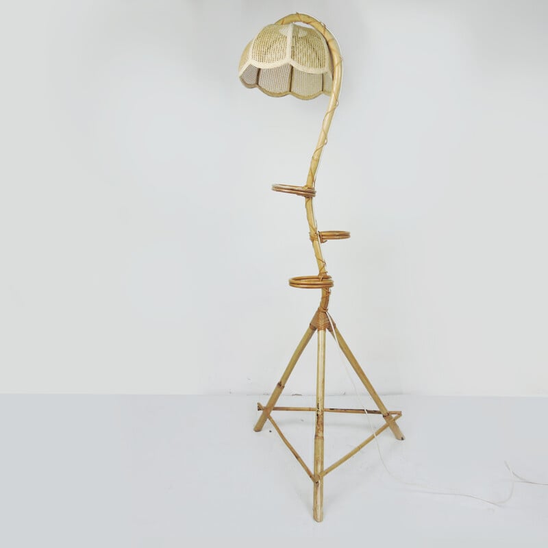 Vintage Bamboo Snake Plant Stand and Floor Lamp, 1970s