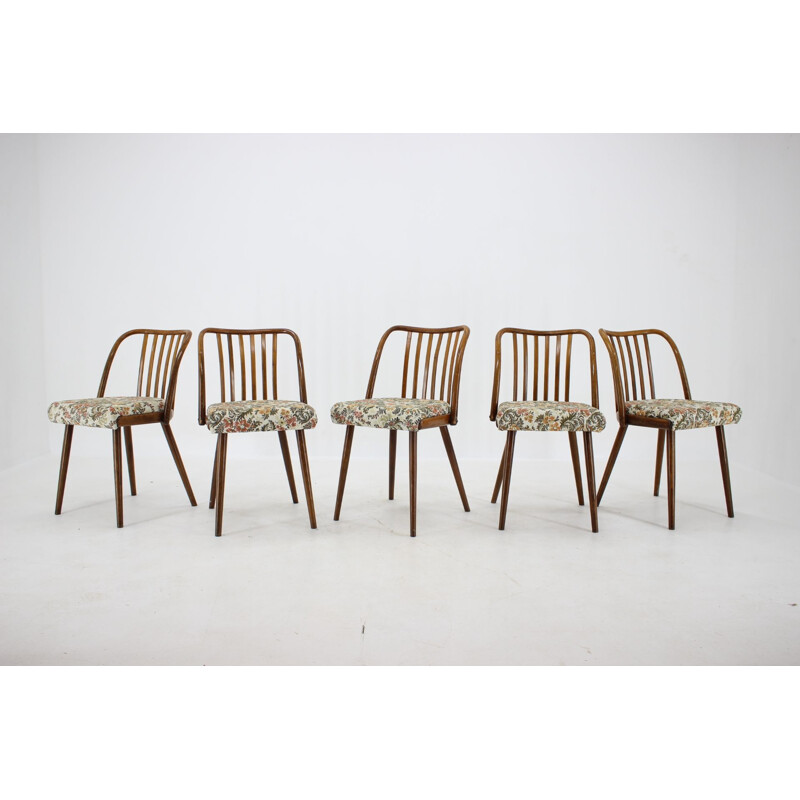 Ensemble de 6 chaises vintage Antonin Suman Tchécoslovaquie 1960
