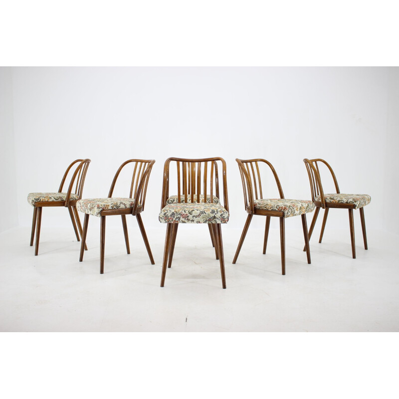 Set of 6 vintage Antonin Suman Dining Chairs, Czechoslovakia 1960s