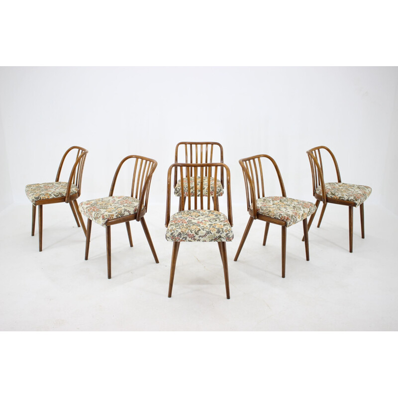 Ensemble de 6 chaises vintage Antonin Suman Tchécoslovaquie 1960