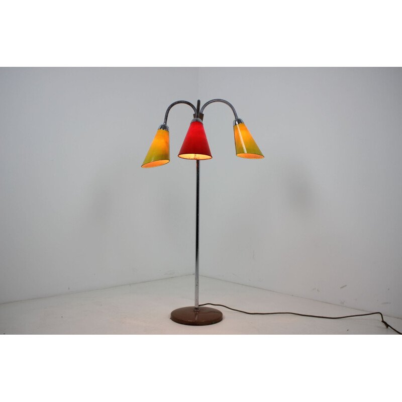 Vintage floor lamp, Czechoslovakia 1950