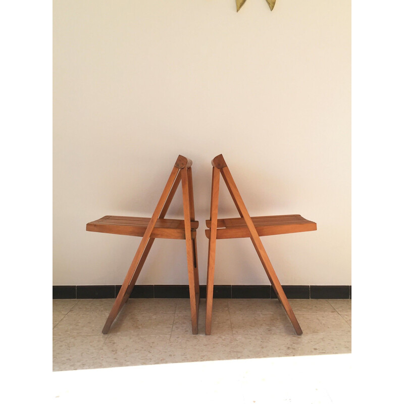 Pair of vintage folding chairs by Aldo Jacober 1960