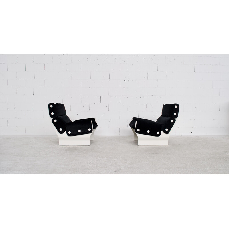 Pair of vintage armchairs model Canada P110 by Osvaldo Borsani, Tecno 1960