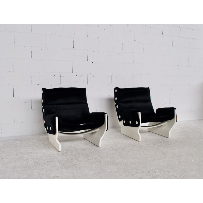 Pair of vintage armchairs model Canada P110 by Osvaldo Borsani, Tecno 1960