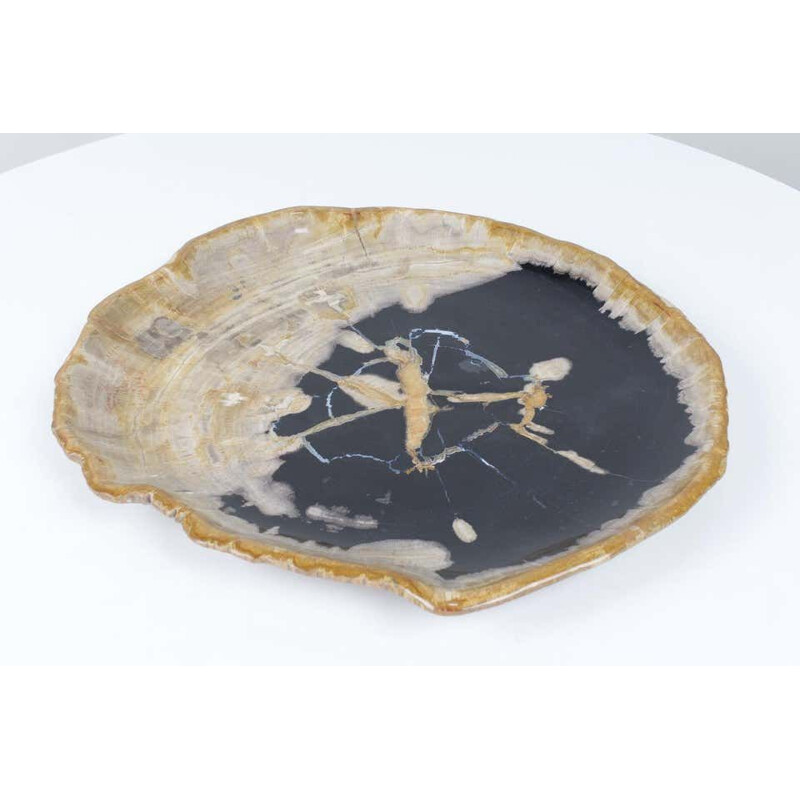 Large vintage Black And Beige Petrified Wooden Platter, Accessory Of Organic Origin