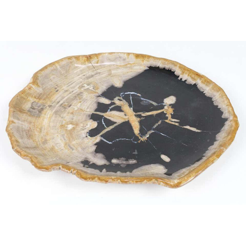 Large vintage Black And Beige Petrified Wooden Platter, Accessory Of Organic Origin