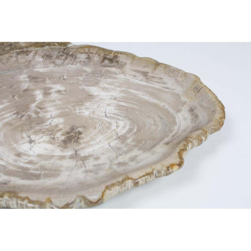 Grande assiette vintage en bois pétrifié dans les tons beiges, accessoire de maison d'origine biologique