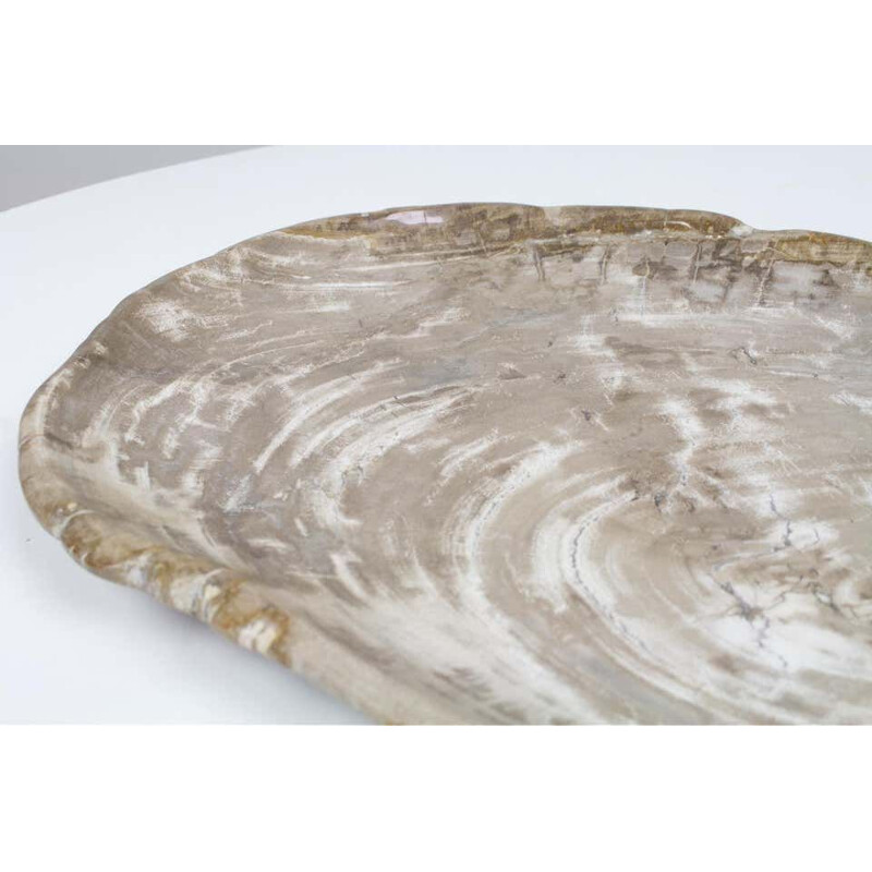 Large vintage Petrified Wooden Plate In Beige Tones, Home Accessory Of Organic Origin