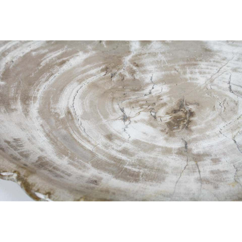 Large vintage Petrified Wooden Plate In Beige Tones, Home Accessory Of Organic Origin