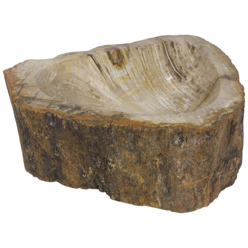 Vintage Petrified Wooden Bowl Or Petit Basin, Object, Accessory Of Organic Origin