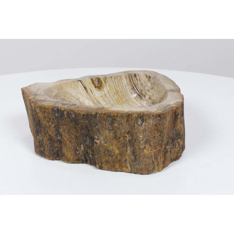Bol pétrifié vintage en bois ou petit bassin, objet, accessoire d'origine biologique