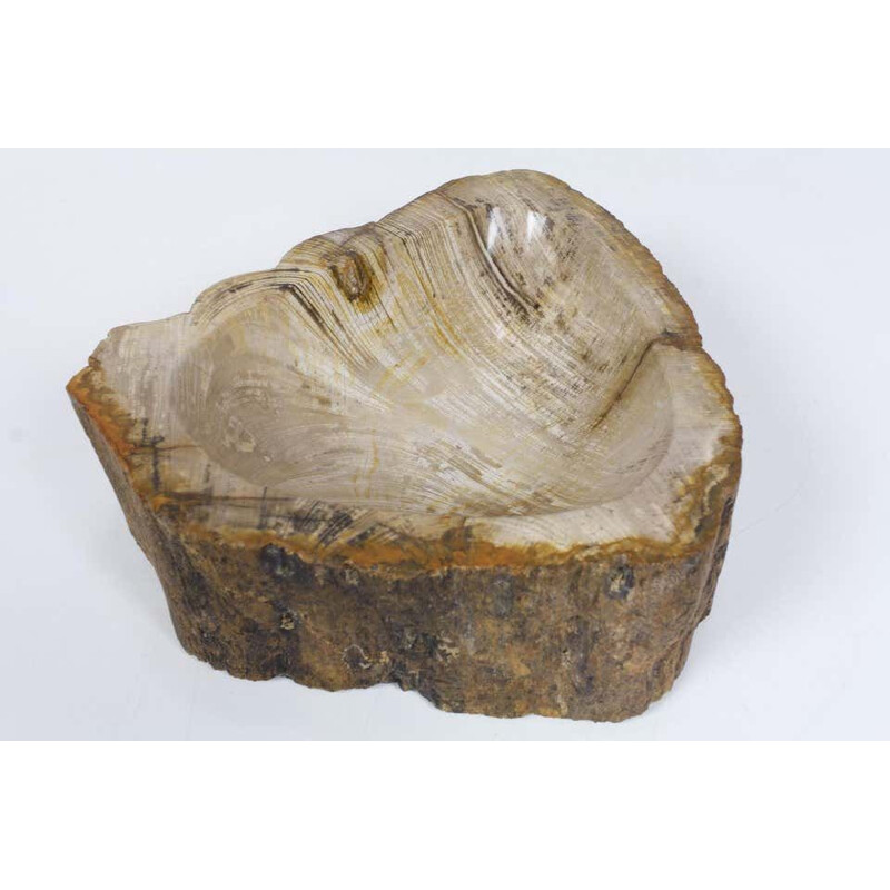 Vintage Petrified Wooden Bowl Or Petit Basin, Object, Accessory Of Organic Origin