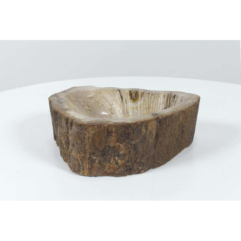 Bol pétrifié vintage en bois ou petit bassin, objet, accessoire d'origine biologique