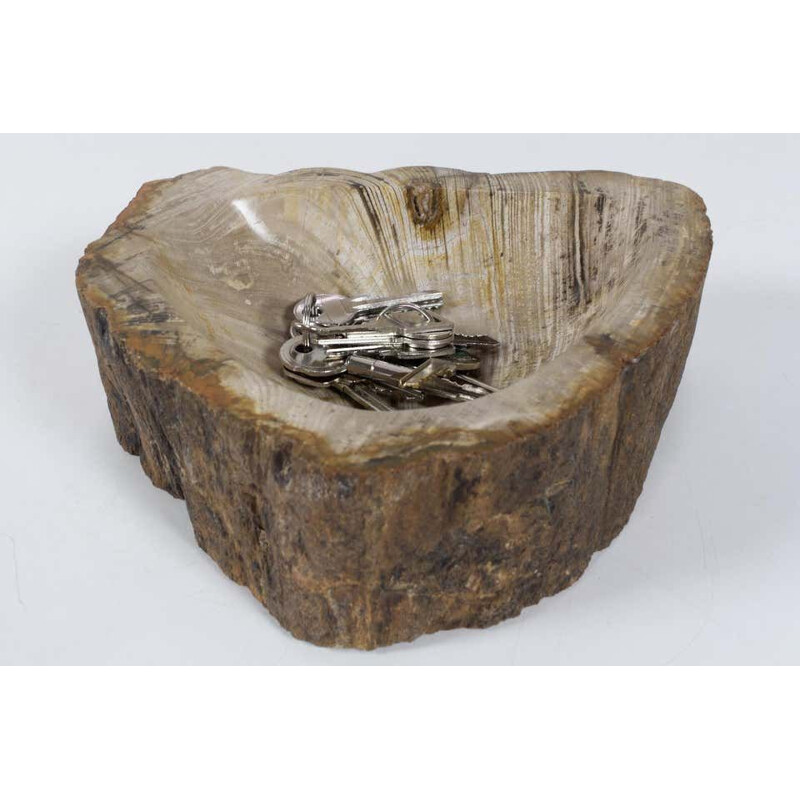 Vintage Petrified Wooden Bowl Or Petit Basin, Object, Accessory Of Organic Origin