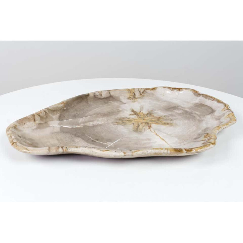 Big vintage Xl Petrified Wooden Plate In Beige Tones, Object Or Accessory Of Organic Origin