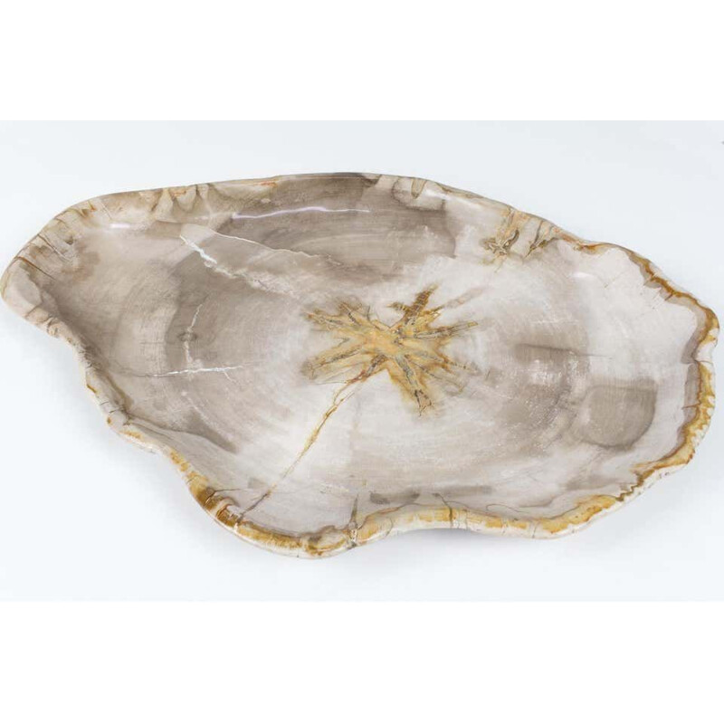 Big vintage Xl Petrified Wooden Plate In Beige Tones, Object Or Accessory Of Organic Origin