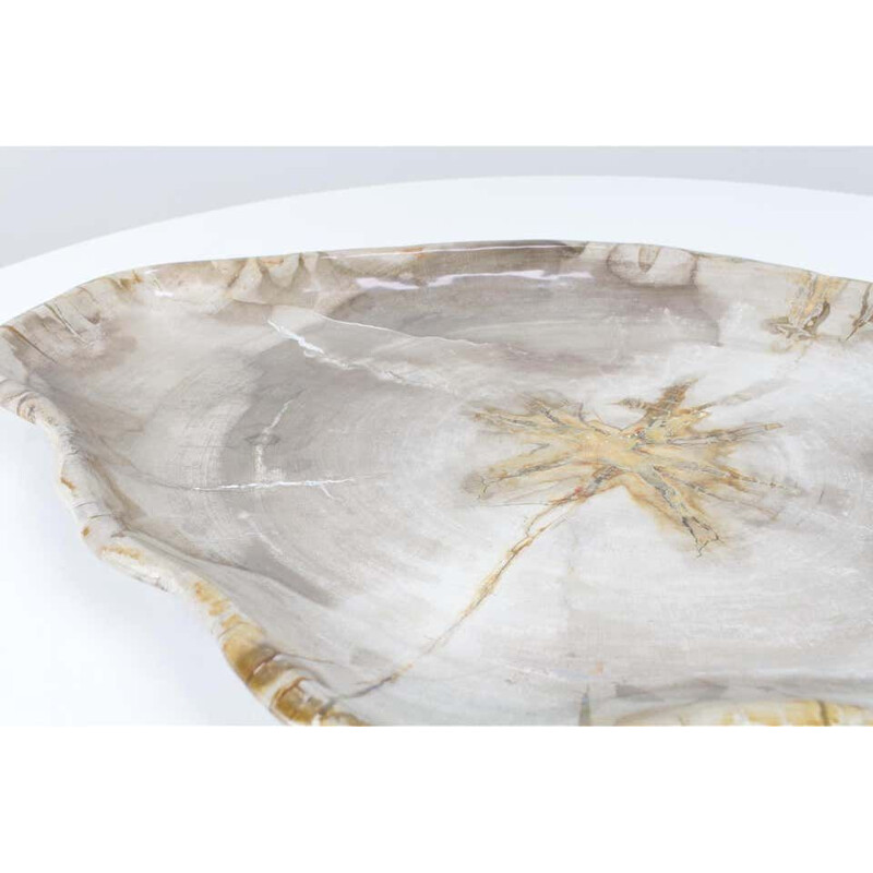 Big vintage Xl Petrified Wooden Plate In Beige Tones, Object Or Accessory Of Organic Origin