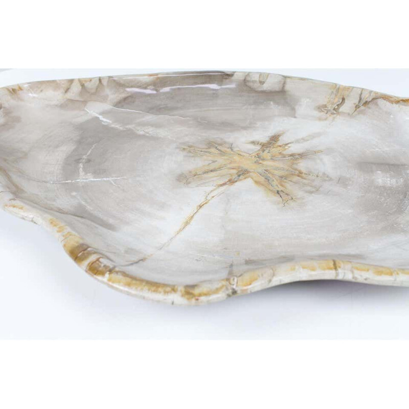Big vintage Xl Petrified Wooden Plate In Beige Tones, Object Or Accessory Of Organic Origin