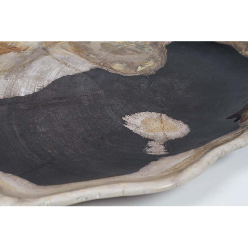 Extra Large vintage Black And Beige Petrified Wooden Platter, Accessory Of Organic Origin