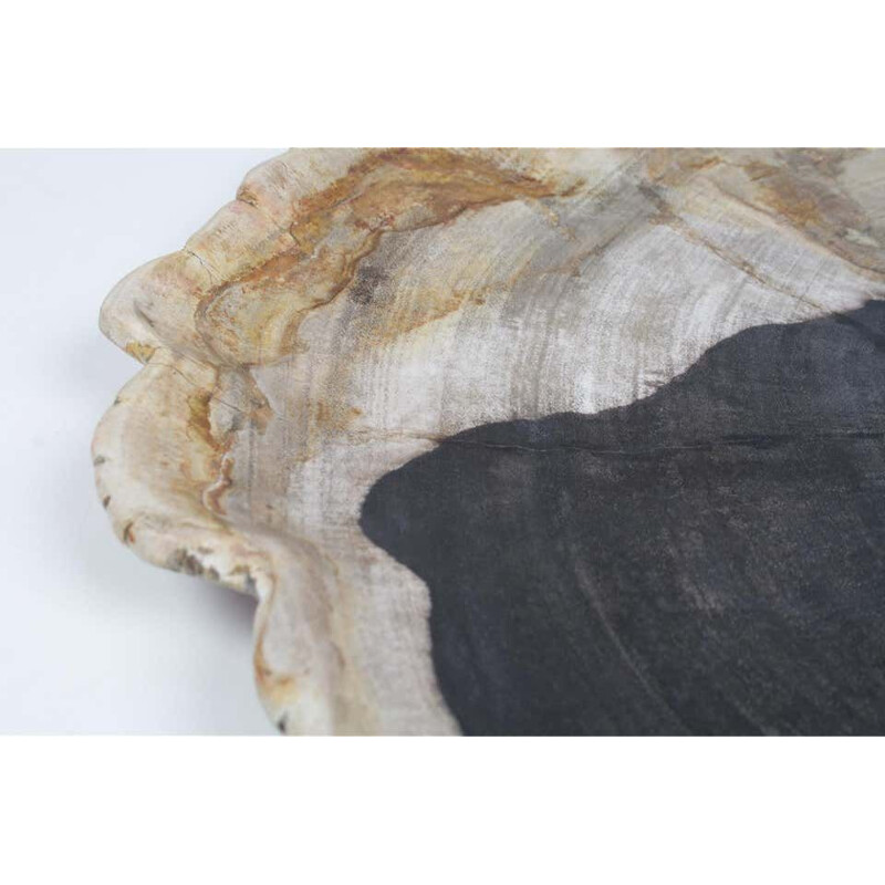 Extra Large vintage Black And Beige Petrified Wooden Platter, Accessory Of Organic Origin