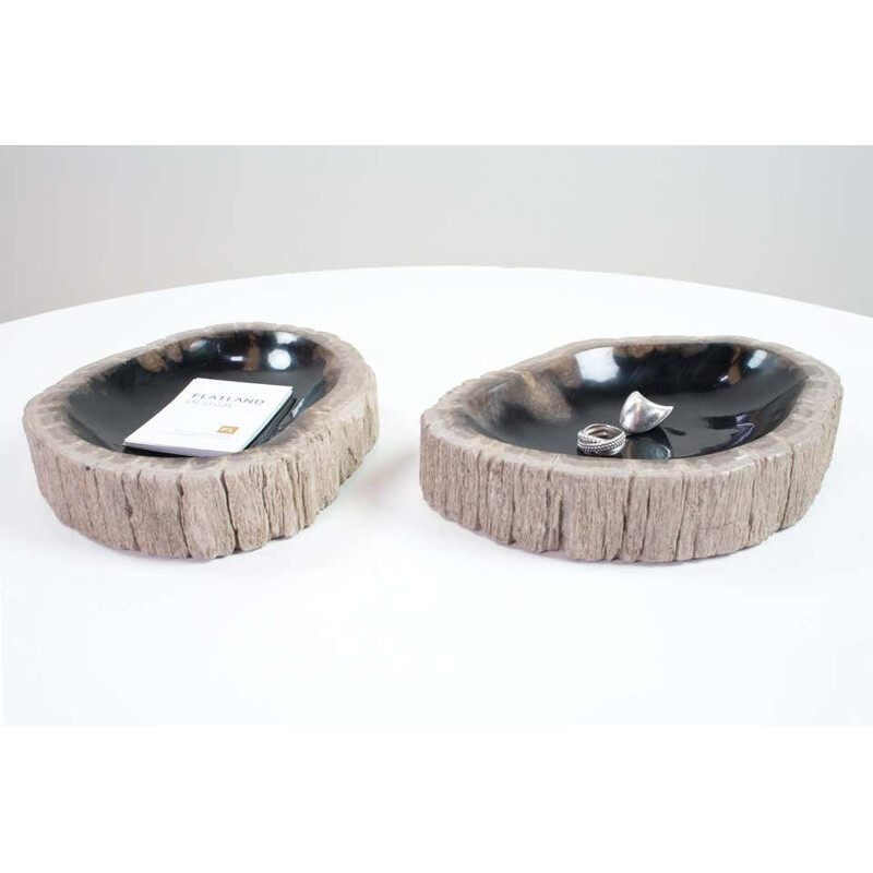 Pair of vintage Petrified Wooden Bowls, Home Accessory Of Organic Original