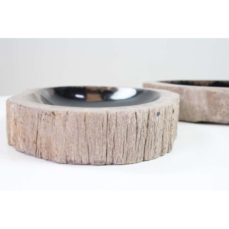 Pair of vintage Petrified Wooden Bowls, Home Accessory Of Organic Original