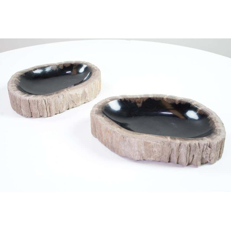 Pair of vintage Petrified Wooden Bowls, Home Accessory Of Organic Original