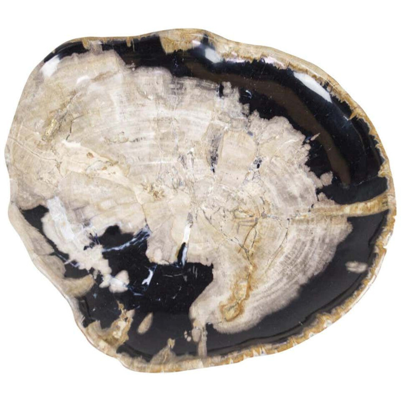 Vintage Black And Beige Petrified Wooden Extra Large Platter, Ancient Organic Home Accessory