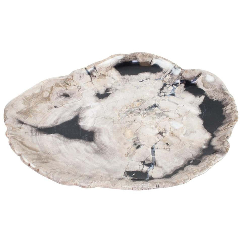 Vintage Petrified Wood Plate, Platter Or Flat Tray, Home Accessory Of Organic Origin