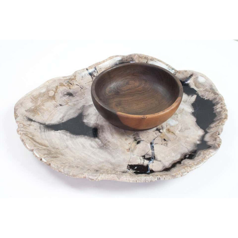 Vintage Petrified Wood Plate, Platter Or Flat Tray, Home Accessory Of Organic Origin