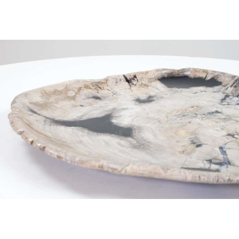 Vintage Petrified Wood Plate, Platter Or Flat Tray, Home Accessory Of Organic Origin