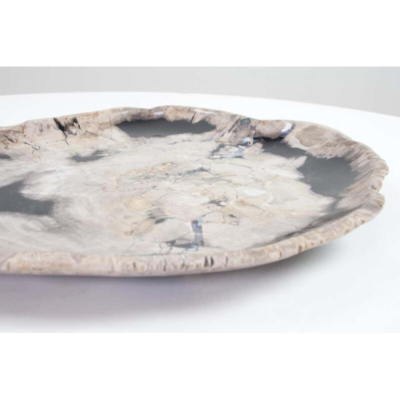 Vintage Petrified Wood Plate, Platter Or Flat Tray, Home Accessory Of Organic Origin