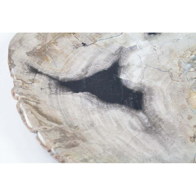 Vintage Petrified Wood Plate, Platter Or Flat Tray, Home Accessory Of Organic Origin