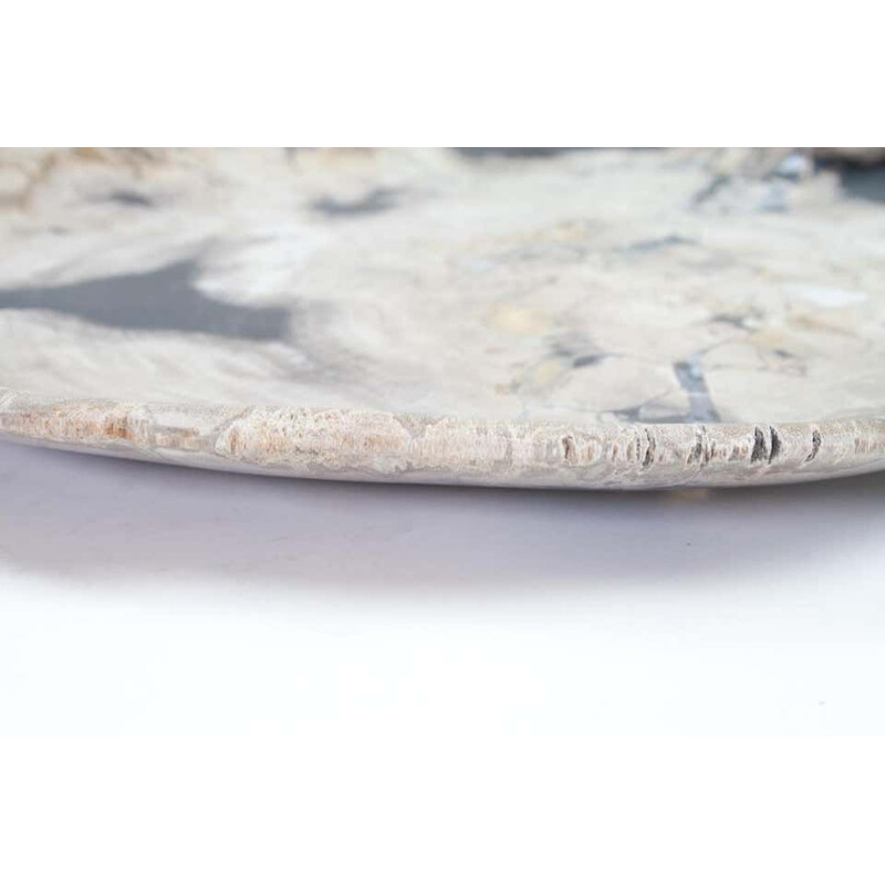 Vintage Petrified Wood Plate, Platter Or Flat Tray, Home Accessory Of Organic Origin