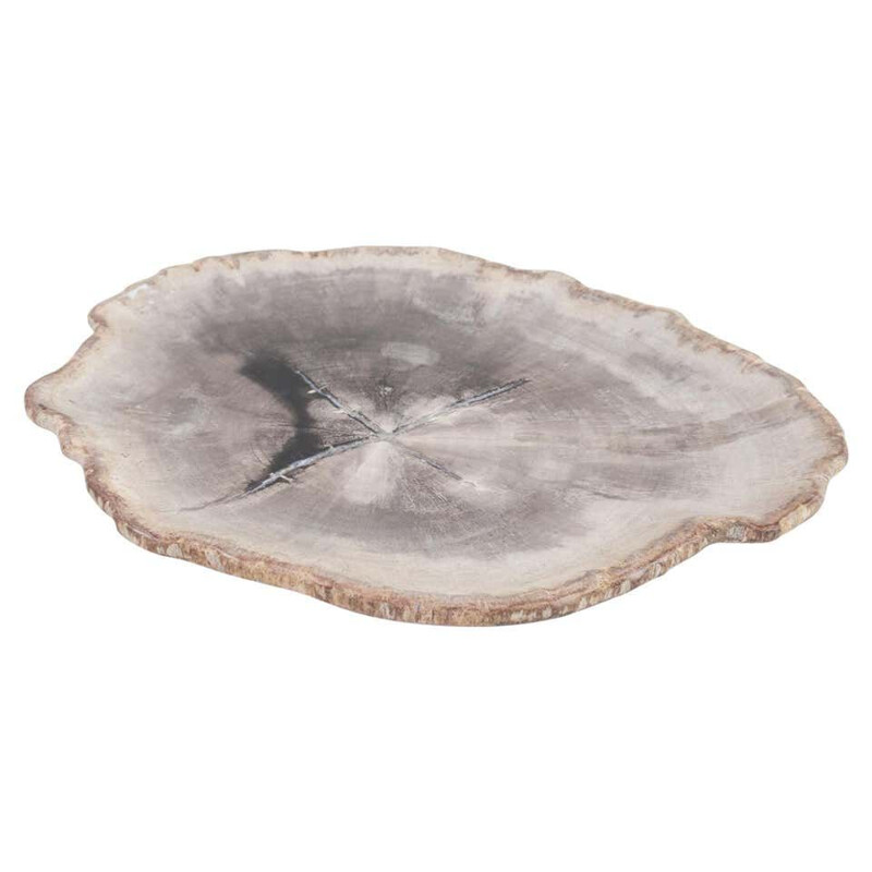 Vintage Petit Petrified Wood Plate In Beige And Hard Coal, Accessory Of Organic Origin