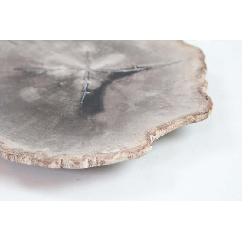 Vintage Petit Petrified Wood Plate In Beige And Hard Coal, Accessory Of Organic Origin
