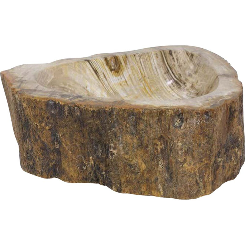 Vintage Petrified Wooden Bowl Or Petit Basin, Object, Accessory Of Organic Origin