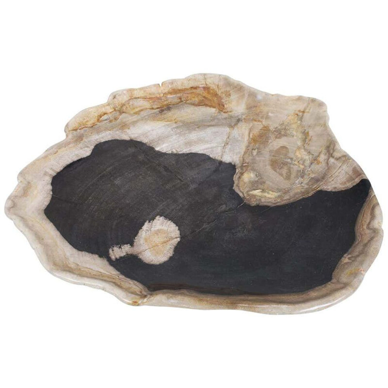 Extra Large vintage Black And Beige Petrified Wooden Platter, Accessory Of Organic Origin