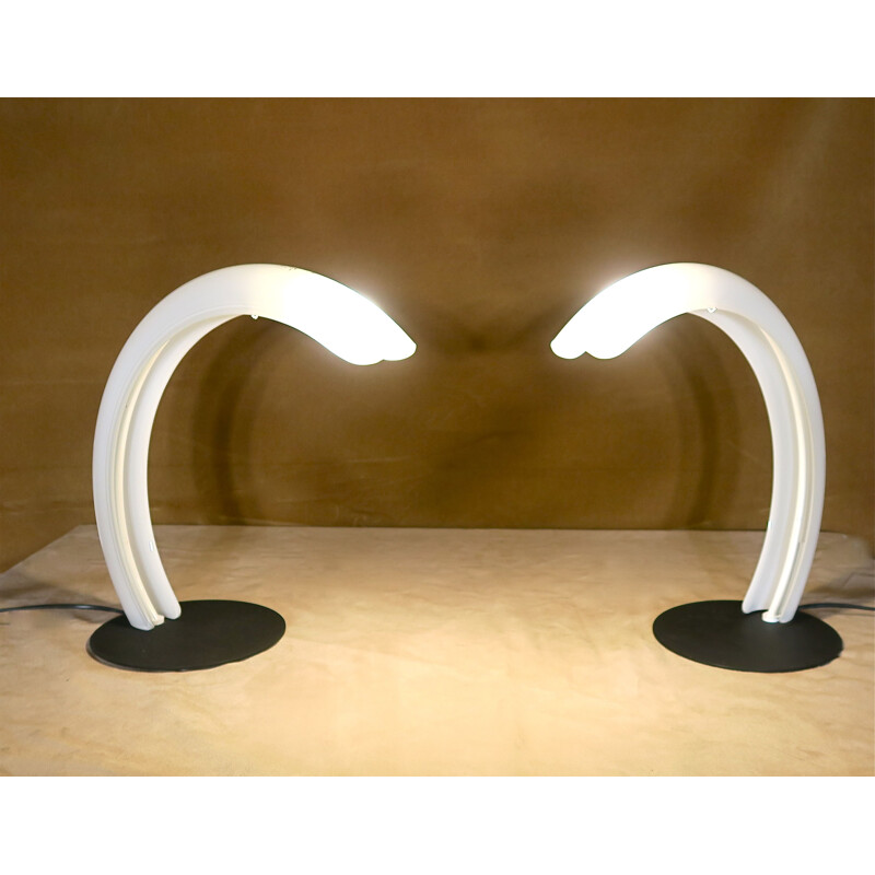 Pair of vintage lamps Mazzega, Italy 1980