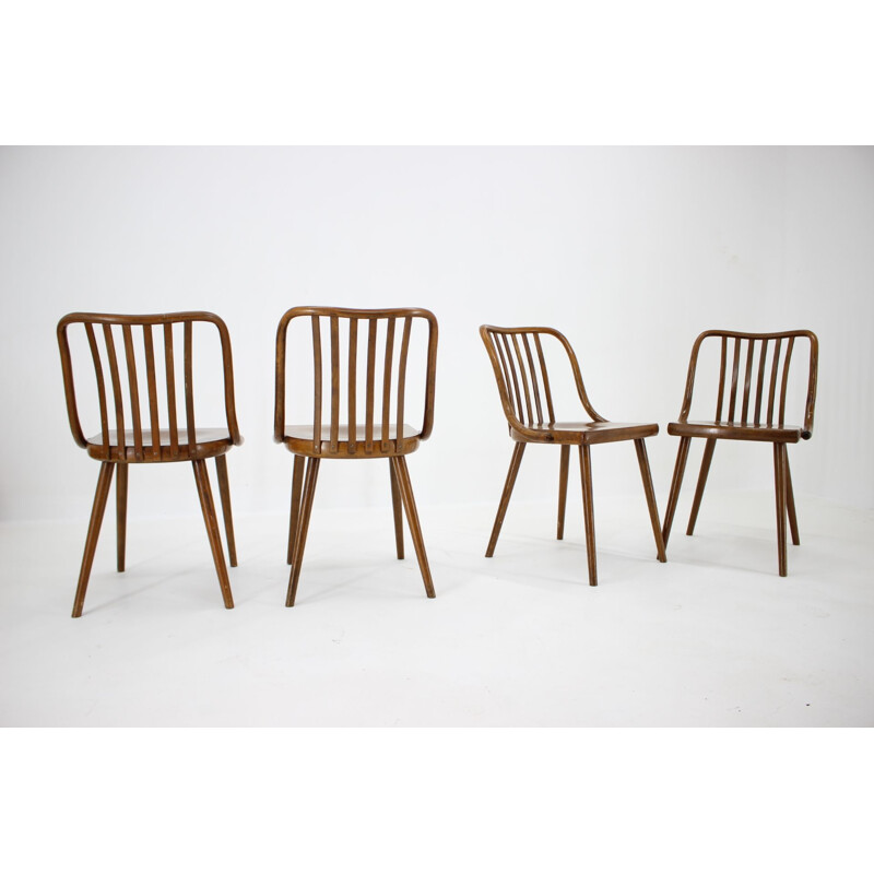 Set of 4 vintage chairs Antonin Suman, Czechoslovakia 1960