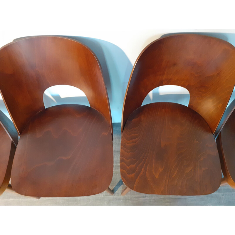 Set of 8 vintage Oswald Haerdtl Walnut Chairs 1955s